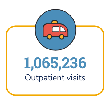 1,065,236 Outpatient Visits