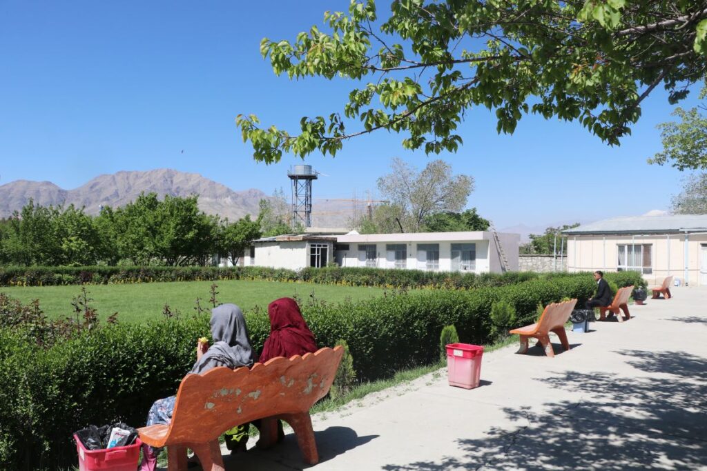 Blooming roses and green hospital grounds at Be Team International's Cure Hospital in Kabul, Afghanistan