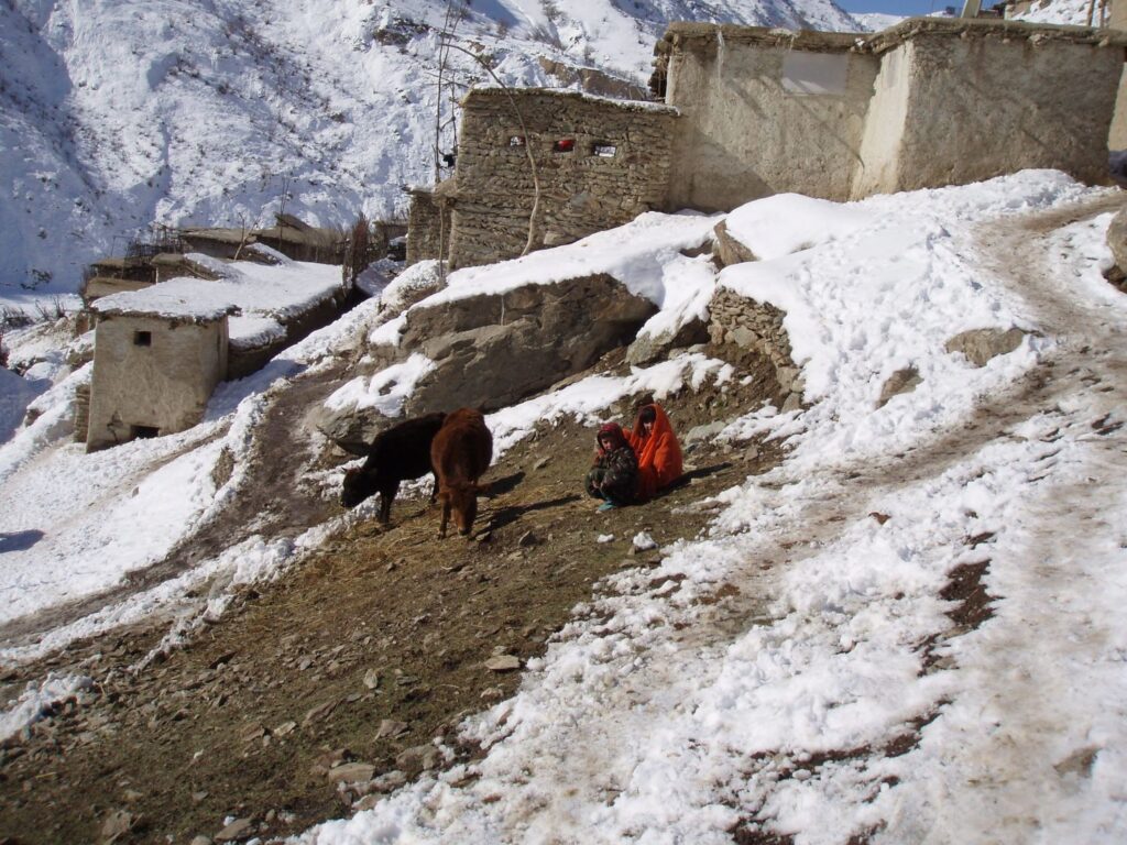 Two children and cows next to a modest home built on a steep mountainside in Yawan District, Afghanistan, near a remote Cure Hospital outreach destination